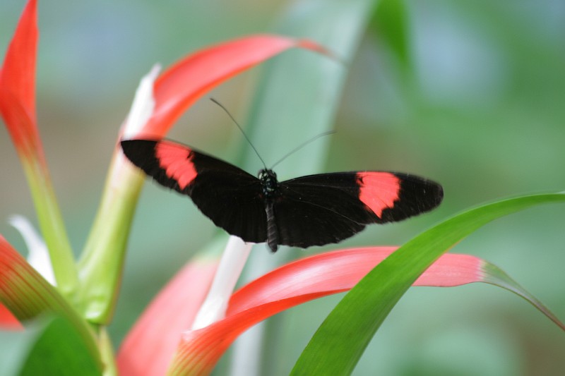 Fotoclubje Blijdorp 2008-78.jpg